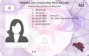 Introduisez votre demande de permis de conduire provisoire en ligne Introduisez votre demande de permis de conduire provisoire en ligne